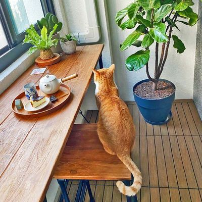 Çeşitli Ahşap Çatlak Taşları Dış Kullanım İçin Suya Karşıt Kare